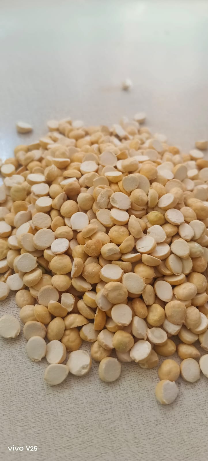 Pottu Kadalai (Big)