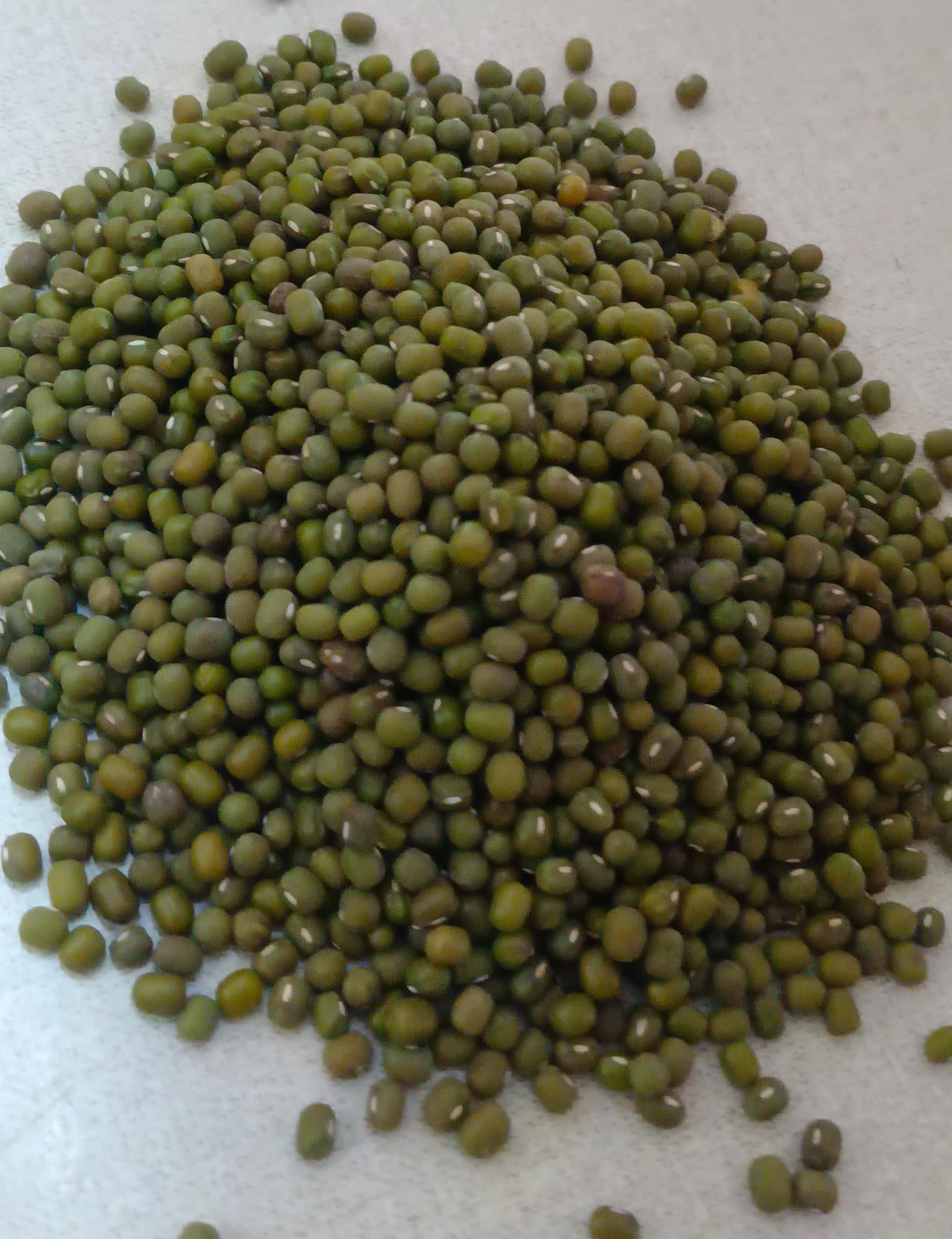 Paasi Payiru