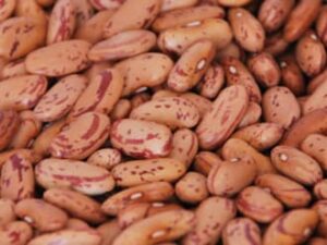 Beans (Vari)
