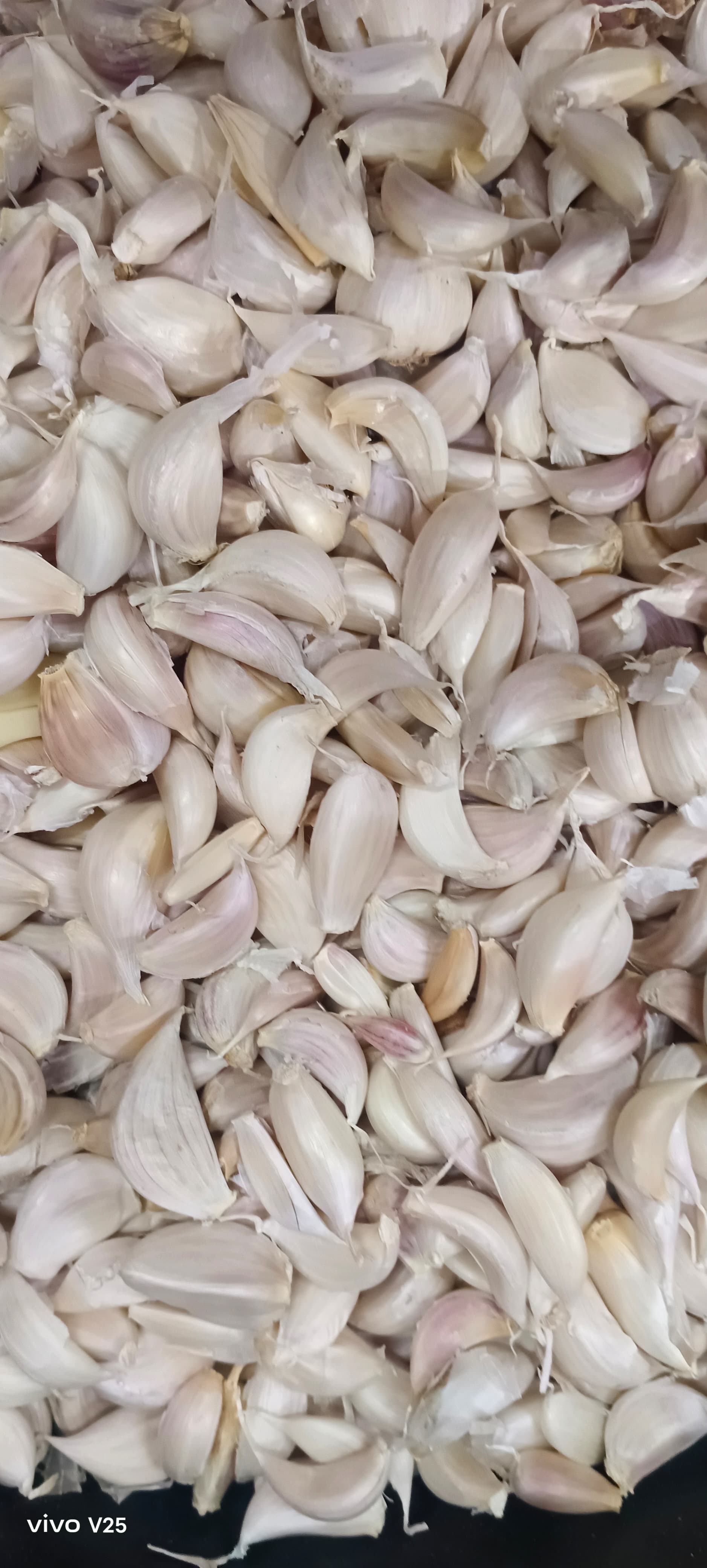 Garlic (Pallu Poondu)
