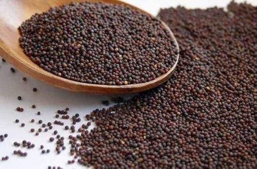 Kadudu (Small)