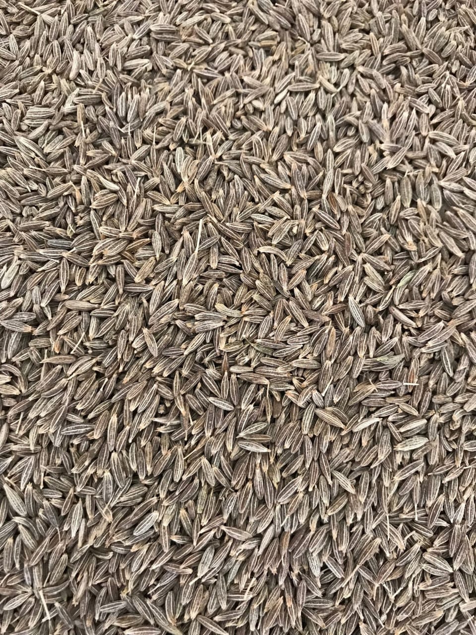 Seeragam premium