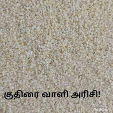 kuthiraivali arici